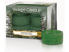 Yankee candle čaj.sv.12ks Evergreen Mist