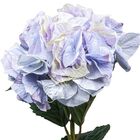 Dekorativní květina Hortenzie, 80 cm, Colmore
