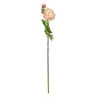 Colmore By Diga  Dekorativní květina Pivoňka růžová, 100 cm, Colmore