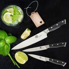 Sada kuchyňských nožů Dellinger Mirror, 3dílná