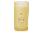 Chesapeake Bay Candle Velká vonná svíčka Strength & Energy