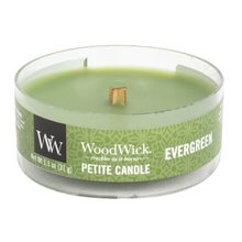 woodwick WoodWick petite Evergreen 31 g