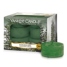 Yankee candle čaj.sv.12ks Evergreen Mist