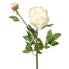 Dekorativní květina Pivoňka bílá, 100 cm, Colmore