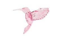 Kolibřík pink, Kurt Adler