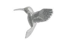 Kolibřík stříbrný, Kurt Adler