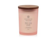 VONNÁ SVÍČKA CHESAPEAKE BAY CANDLE STILLNESS & PURITY STŘEDNÍ