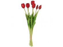Tulipán červený, 40 cm, set 5 ks