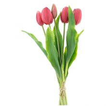 Tulipán červený, 36 cm, set 5 ks