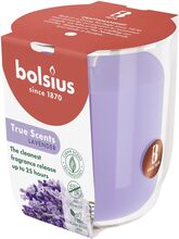 Bolsius Lavander 313 g