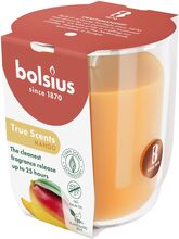 Bolsius Mango 313 g