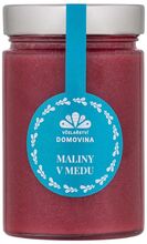 Včelařství Domovina Maliny v medu 380 g