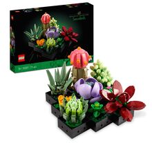 LEGO Botanicals 10309 Sukulenty