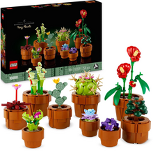 LEGO Botanicals 10329 Miniaturní rostliny