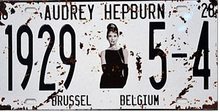 Retro Plechová cedule Audrey Hepburn 1929