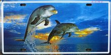 Retro Plechová cedule Delfíni