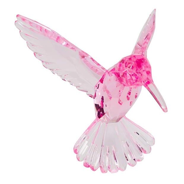 Růžový kolibřík, Kurt Adler