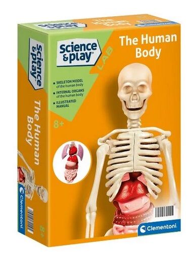 Clementoni Experimentální sada (lidské tělo)