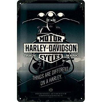 Harley Davidson Plechová cedule - Harley Davidson Things Are Different on a Bike