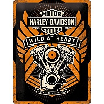 Harley Davidson Plechová cedule - Harley Davidson Wild at Heart